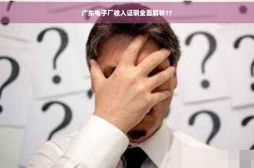 广东电子厂收入证明全面解析??