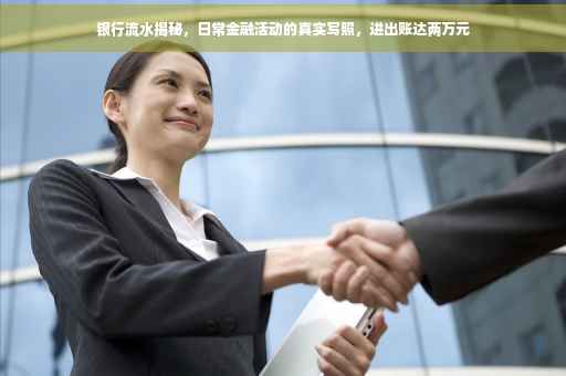 银行流水揭秘，日常金融活动的真实写照，进出账达两万元