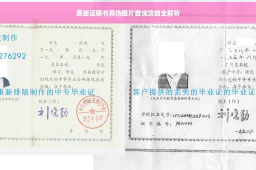 质量证明书真伪图片查询攻略全解析