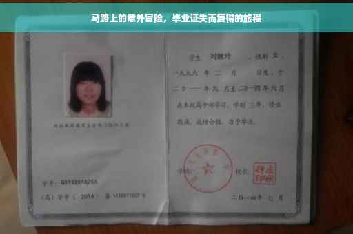 马路上的意外冒险，毕业证失而复得的旅程