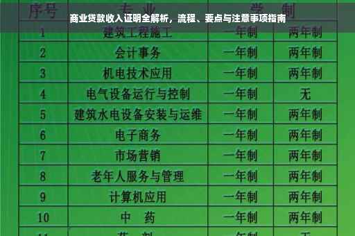 商业贷款收入证明全解析，流程、要点与注意事项指南