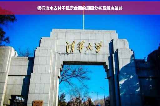 银行流水支付不显示金额的原因分析及解决策略