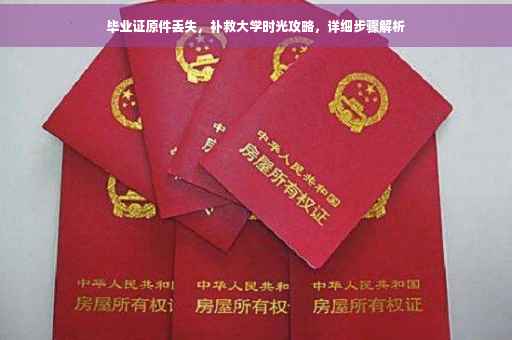 毕业证原件丢失，补救大学时光攻略，详细步骤解析
