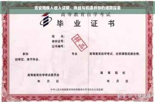 吉安残疾人收入证明,挑战与机遇并存的道路探索 吉安残疾人收入证明,挑战与机遇并存的道路探索