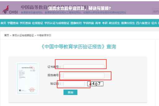 低流水也能申请贷款，秘诀与策略?