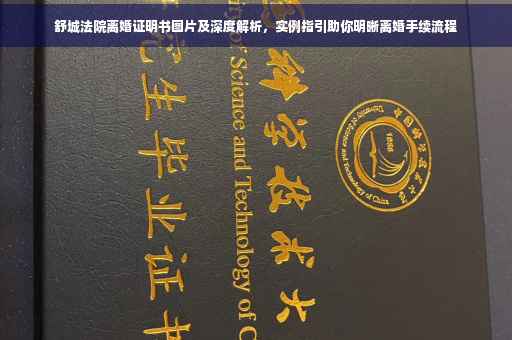 舒城法院离婚证明书图片及深度解析，实例指引助你明晰离婚手续流程