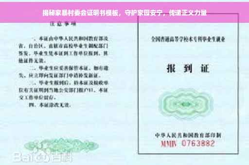 揭秘家暴村委会证明书模板，守护家园安宁，传递正义力量
