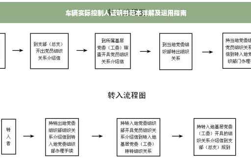 车辆实际控制人证明书范本详解及运用指南