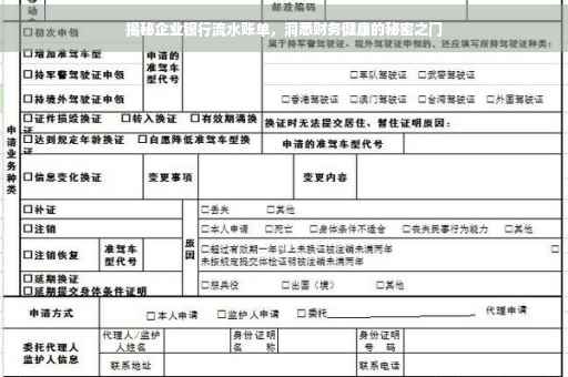 揭秘企业银行流水账单，洞悉财务健康的秘密之门