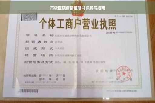 市级医院病情证明书详解与指南