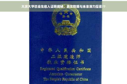 大庆大学毕业生收入证明揭秘，真实数据与未来潜力探索??