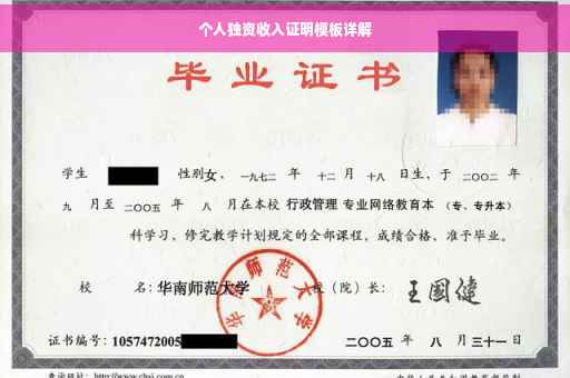 个人独资收入证明模板详解