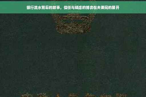 银行流水背后的故事，信任与疑虑的博弈在夫妻间的展开