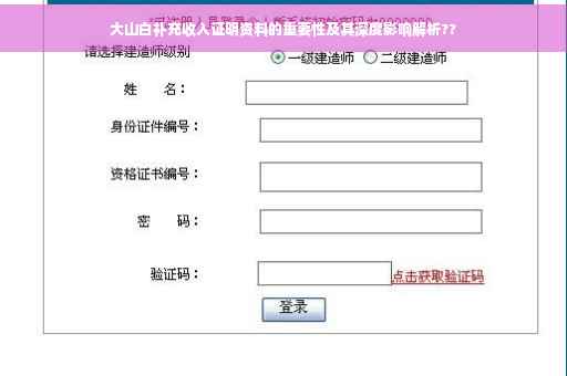 大山白补充收入证明资料的重要性及其深度影响解析??