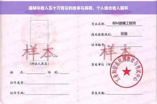 揭秘年收入五十万背后的故事与真相，个人综合收入解析