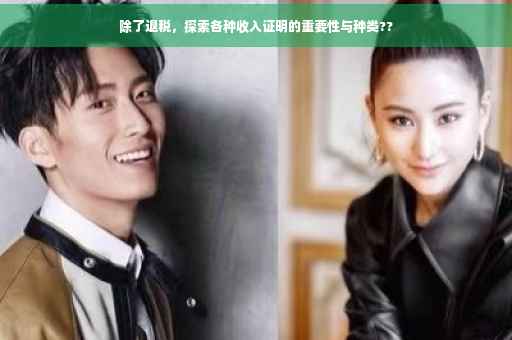 除了退税，探索各种收入证明的重要性与种类??