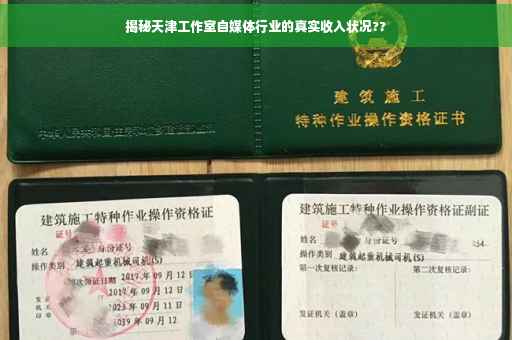 揭秘天津工作室自媒体行业的真实收入状况??