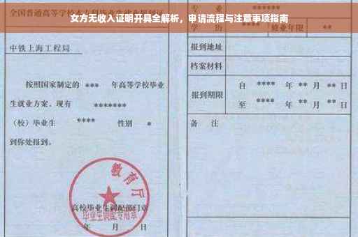 女方无收入证明开具全解析，申请流程与注意事项指南