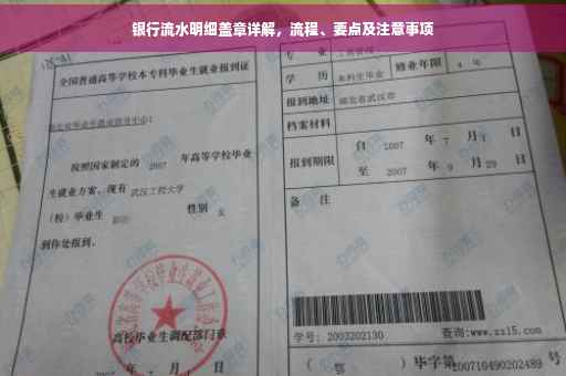 银行流水明细盖章详解，流程、要点及注意事项
