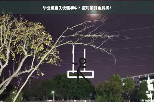 毕业证丢失快递手中？应对策略全解析！