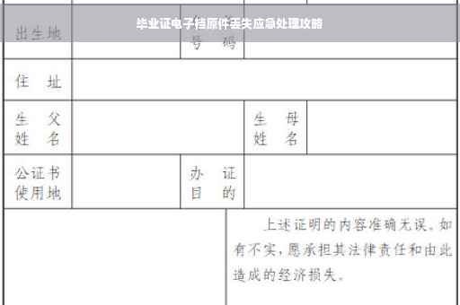 毕业证电子档原件丢失应急处理攻略