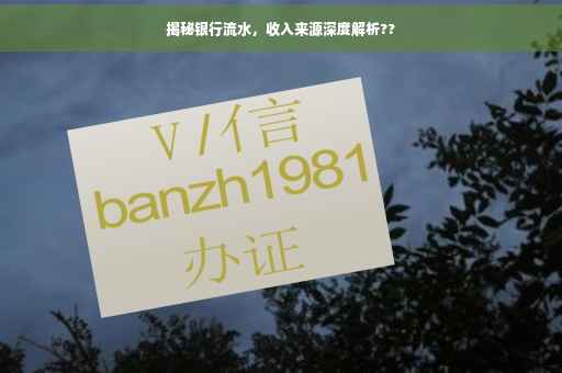 揭秘银行流水，收入来源深度解析??