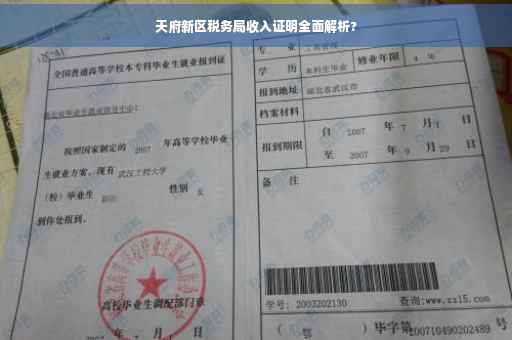 天府新区税务局收入证明全面解析?