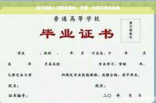 支付宝收入证明全解析，步骤、内容与格式指南