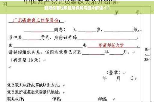 新冠疫苗过敏证明详解与图片解读?⚡️