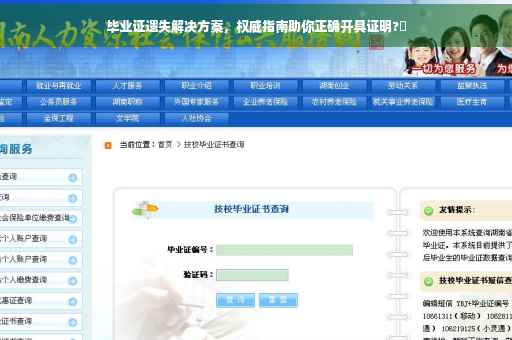 毕业证遗失解决方案，权威指南助你正确开具证明?✨