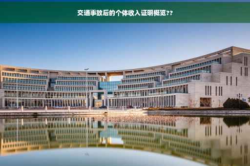 交通事故后的个体收入证明概览??