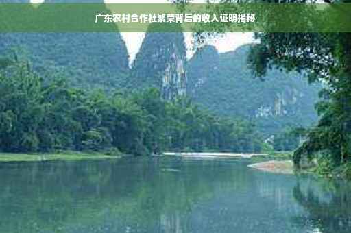 广东农村合作社繁荣背后的收入证明揭秘