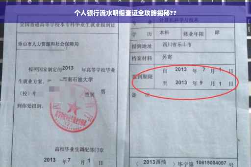 个人银行流水明细查证全攻略揭秘??