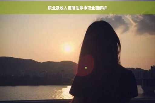 职业及收入证明注意事项全面解析