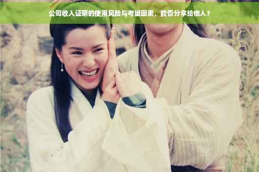 公司收入证明的使用风险与考量因素，能否分享给他人？