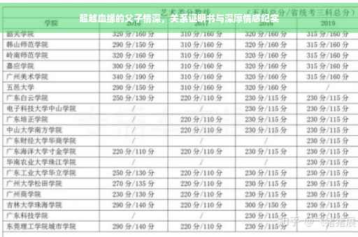 超越血缘的父子情深，关系证明书与深厚情感纪实