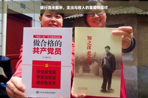 银行流水解析，支出与收入的重要性探讨