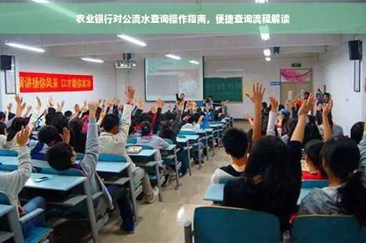 农业银行对公流水查询操作指南，便捷查询流程解读