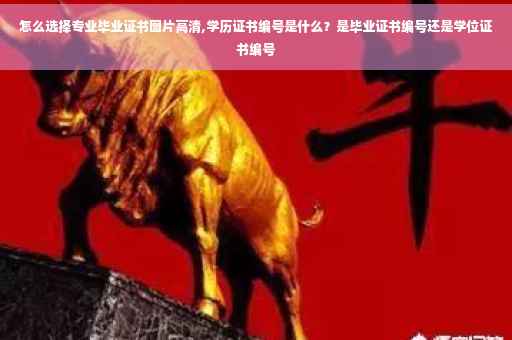 怎么选择专业毕业证书图片高清,学历证书编号是什么？是毕业证书编号还是学位证书编号