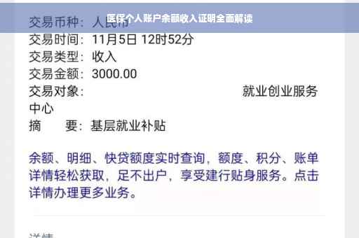 医保个人账户余额收入证明全面解读
