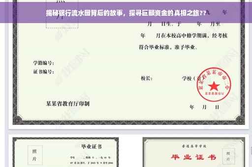 揭秘银行流水图背后的故事，探寻巨额资金的真相之旅??