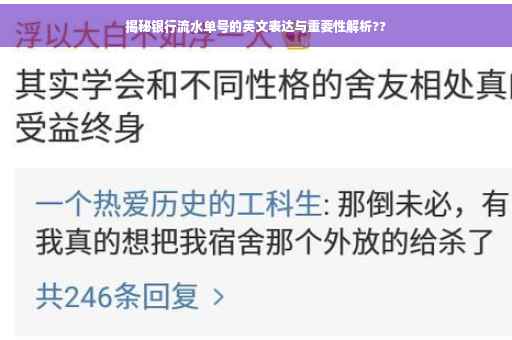揭秘银行流水单号的英文表达与重要性解析??
