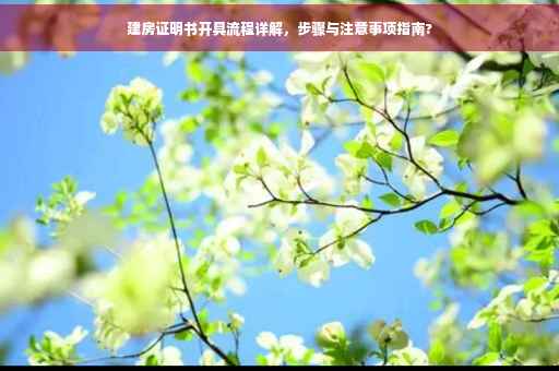 建房证明书开具流程详解，步骤与注意事项指南?