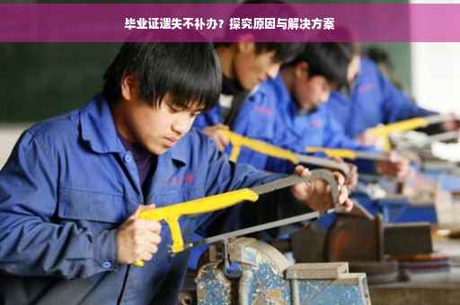 毕业证遗失不补办？探究原因与解决方案