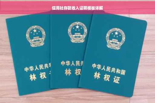 信用社存款收入证明模板详解