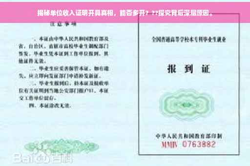 揭秘单位收入证明开具真相，能否多开？??探究背后深层原因。