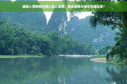 揭秘人保寿险代理人收入真相，真实面貌与潜在机遇探索?
