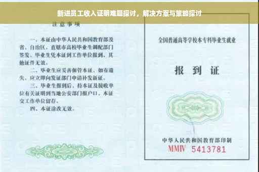 新进员工收入证明难题探讨，解决方案与策略探讨