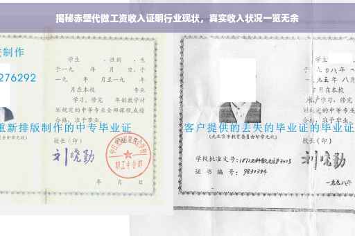 揭秘赤壁代做工资收入证明行业现状，真实收入状况一览无余