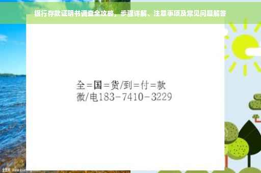 银行存款证明书调查全攻略，步骤详解、注意事项及常见问题解答